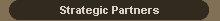 Strategic Partners