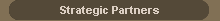 Strategic Partners